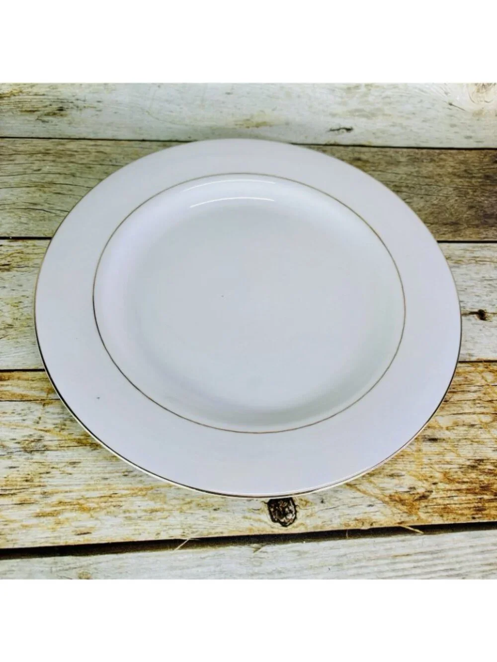 Vintage Kmart ELEGANT GOLD White Gold Trim Rim Porcelain Dinner Plates Set of 2
